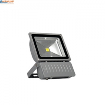 Đèn led đánh cá 100W ĐQ LEDFL02 100765 WP Điện Quang