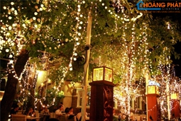 Top 10 đèn led quấn cây trang trí ngoài trời đẹp lung linh