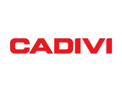Bảng giá dây cáp điện Caidvi 2026 mới nhất
