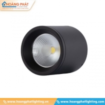 Đèn led ốp trần NT01 110/15W Rạng Đông