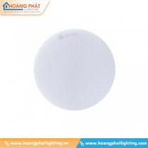Đèn led ốp trần LN12 170/12W SS Rạng Đông